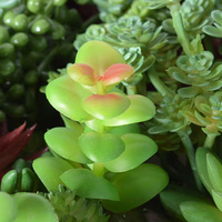 Sélection stricte Artificielle Charnue Flocage Tête De Fleur En Plastique Faux Aloe Cactus Vert Paysage Ornements En Pot Combinaison
