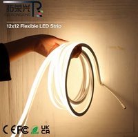 Bande lumineuse LED néon intelligente 24V à dégradé de couleurs effet eau courante, flexible en silicone, étanche pour extérieur