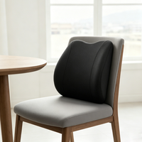 YUE RISE Coussin lombaire ergonomique en mousse à mémoire de forme 3D, respirant, en polyester, pour soulager les douleurs dorsales, pour le sommeil, l'allaitement, le camping et l'orthopédie