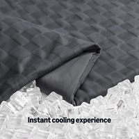 Couette Rafraîchissante Douce et Légère en Tissu Gaufré Respirant Nylon Polyester pour Nuits Chaudes – Idéale Hôtels & Domicile Toutes Saisons