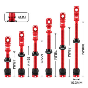 <span class=keywords><strong>Valve</strong></span> de <span class=keywords><strong>pneu</strong></span> <span class=keywords><strong>tubeless</strong></span> en alliage d'aluminium MUQZI 45/55/65/75/85/100 mm <span class=keywords><strong>Valve</strong></span> Presta pour vélo de route <span class=keywords><strong>VTT</strong></span> - Product Image 3