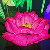 Lanterne en soie chinoise faite à la main Offre Spéciale lieu de mariage traditionnel lanterne de fleurs décoratives pour la remise des diplômes du nouvel an de noël