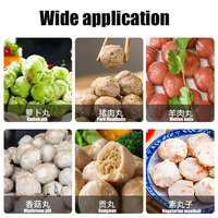 Boulette de viande automatique de poulet faisant la machine pour la formation de boule de poisson et de saucisse