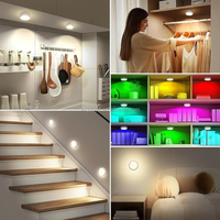 Lampe LED blanche intelligente à télécommande pour armoire, alimentée par piles, veilleuse à intensité variable pour cuisine, placard, couloir, escalier