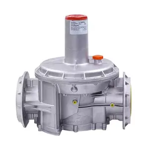 FIORENTINI Gas Pipeline Reducing Valve Gas Burner Pressure Control Regulators For Stream Boiler DOWSON RIELLO Burner Spare Parts