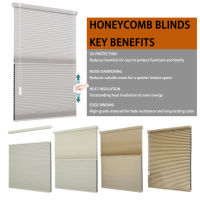 Cortinas de Lujo con Doble Cadena, Persianas Celulares de Panal, Estores Día y Noche, Persianas de Panal