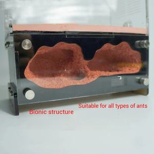 סדנת חוות חיות המחמד של טירת הנמלים מאפשרת תצפית קלה על ההתרבות של קן נמלים מבטון בעל קיבולת גדולה - Product Image 3
