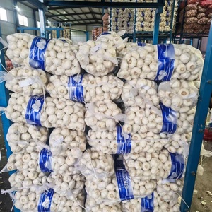 Ail Jin Xiang, Exportador de Ajo Fresco, Ajo Fresco a Gran Escala, Venta al por Mayor en China para Plantas de Procesamiento de Ajo - Product Image 6