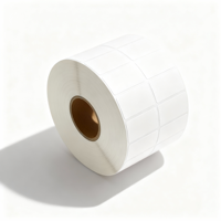Étiquette en papier synthétique longue durée de 5 ans pour les imprimantes Godex et l'étiquetage de produits en extérieur
