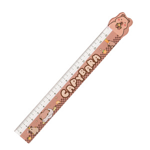 Regla Acrílica de Capibara de 15 cm, Diseño de Dibujos Animados, Material Escolar - Product Image 3