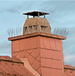 Qiao Liang Hot Sale Hek Anti Vogel Doorn Voor Duiven Kleine Vogels Basis 304 Roestvrij Staal Vogel Spikes - Product Image 6