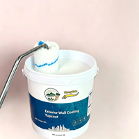 Revêtement liquide acrylique professionnel écologique décoratif pour hôtels, villas, bureaux, bâtiments, haute couverture, entretien facile
