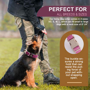 Großhandel neues Design umwelt freundliche Hanf Hunde halsband hypo allergenes weiches Haustier halsband für Hunde - Product Image 3