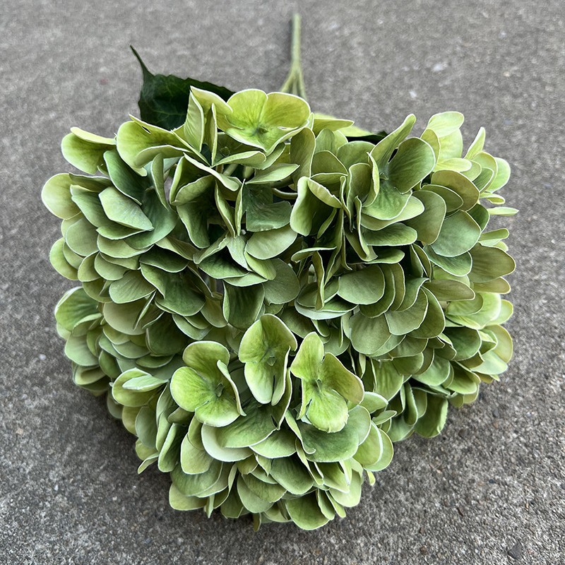 16 #5 tête 3d main hortensia-vert foncé
