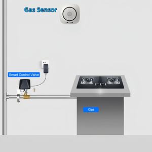 SLS 智能家居燃气泄漏报警系统，带漏水检测功能，兼容 Alexa 和 Google Home，WiFi 阀门控制器，30m 范围 - Product Image 4