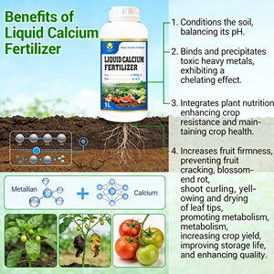 แคลเซียมเหลวเข้มข้น 180 กรัม/<span class=keywords><strong>ลิตร</strong></span> น้ำตาลแอลกอฮอล์คอมเพล็กซ์  ซึมซาบเร็ว สำหรับแอปเปิ้ล ลูกแพร์ ส้ม องุ่น ขายดี - Product Image 4