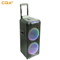 Guangzhou CQA sistema de altavoces estéreo fiesta Bluetooth altavoz de carga inalámbrica portátil carro altavoz con micrófono