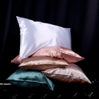 16/19/22/25 Momme Enveloppe 100% Taie d'oreiller en soie de mûrier Lavable Luxe Pure