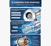 Pompe solaire submersible DC 12V-72V à haute pression pour l'irrigation des terres agricoles, l'arrosage des jardins et l'aspiration des rivières