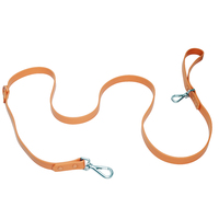 Correa para Perro Recubierta de PVC Impermeable, Cierre Metálico Resistente a la Corrosión, Correa de Entrenamiento Duradera para Perros Pequeños, Medianos y Grandes