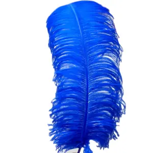 Venta al por mayor de plumas de avestruz, superventas, hermosa pluma de avestruz natural para decoraciones de ropa Diy