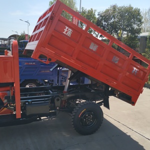 Tricycle motorisé à essence YAOLON <span class=keywords><strong>250cc</strong></span> 300cc pour livraison lourde, moto cargo à trois roues - Product Image 3