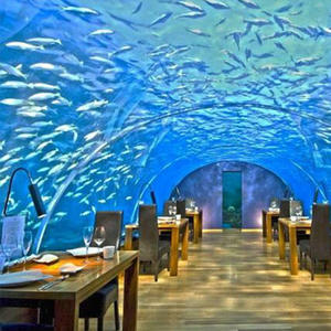 Grand aquarium en acrylique avec construction au design personnalisé Villa hôtel exposition en verre ultra blanc méduse aquarium - Product Image 2