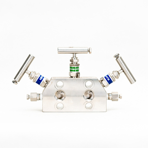 Transmisor de Presión de Producto para Medición de Presión Diferencial con Control de Precisión para Manifold de Tres Válvulas Rosemount - Product Image 4