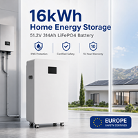 Système de batterie de stockage d'énergie domestique solaire hybride LiFePO4 16kWh 51.2V 314Ah CAN IEC62619 IEC63056 CE IP65 sur pied 8000+