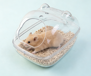 Baño para Hámster 2 en 1, Bañera Portátil de Plástico a Prueba de Salpicaduras y Polvo para Hámsteres Dorados, Artículos para Mascotas - Product Image 4