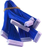 Rangkaian Kabel JST SHDR-30V-S-B Frekuensi Tinggi Khusus 28AWG MPPE untuk Peralatan Medis/Industri