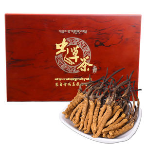 100% <span class=keywords><strong>cordyceps</strong></span> <span class=keywords><strong>sinensis</strong></span> prue natural de alta qualidade, seco tibetano <span class=keywords><strong>cordyceps</strong></span> <span class=keywords><strong>sinensis</strong></span> - Product Image 3