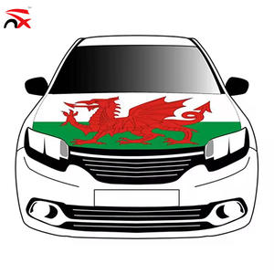 Ensemble de supporters de football du drapeau national du Pays de Galles, très vendu, comprenant un foulard, un chapeau de <span class=keywords><strong>baseball</strong></span> et des lunettes de soleil pour encourager les supporters lors des matchs - Product Image 3