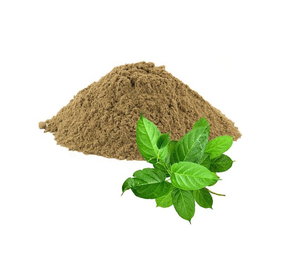 Poudre d'extrait de Gymnema Sylvestre Madhunashini naturelle, ingrédient botanique végétal, extrait standardisé, poudre de qualité alimentaire - Product Image 2