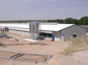 Prefab giá rẻ thiết kế mới ánh sáng Kết Cấu Thép gia cầm nhà trang trại xây dựng để bán - Product Image 4