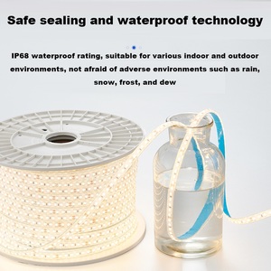 <span class=keywords><strong>Bande</strong></span> <span class=keywords><strong>lumineuse</strong></span> <span class=keywords><strong>LED</strong></span> basse tension, éclairage décoratif d'intérieur, éclairage extérieur étanche, <span class=keywords><strong>bande</strong></span> <span class=keywords><strong>lumineuse</strong></span> en silicone solide <span class=keywords><strong>autocollante</strong></span> - Product Image 4