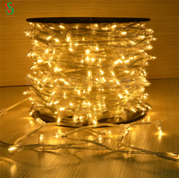 100m 1000leds 12V LED Fee Clip String Lichter für Outdoor Weihnachten Baum Dekorationen