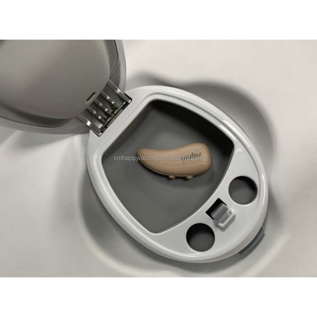 Signia 32 Channels Pure C&G T 3IX Rechargeable RIC Signia Rexton