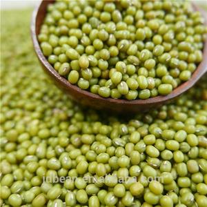 Wholesale Green Mung Beans Myanmar 50kg Package Mung Bean Wakema - Product Image 6