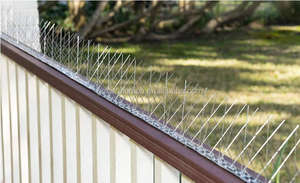 Pointes <span class=keywords><strong>anti</strong></span>-oiseaux en acier inoxydable 304 pour jardin et toit, durée de vie pratique de 10 ans - Product Image 6