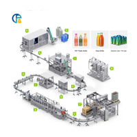 Ligne de production automatique de bouteilles de 500ml 1L pour animaux de compagnie, boisson liquide, remplissage, embouteillage
