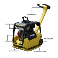 Compacteur de plaques réversible à essence avec embrayage manuel, compacteur vibrant pour la terre à vendre au meilleur prix / Compacteur à essence