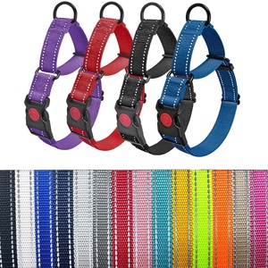 Collare per Cani Antiscivolo e Anti-Soffocamento su Misura, OEM Riflettente con Doppio Anello - Product Image 2