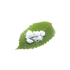 Poudre de camphre naturelle pour conserves parfums Poudre de camphre naturelle pour encens Poudre de camphre en vrac - Product Image 3