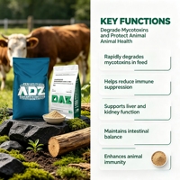 Additif Alimentaire Multifonctionnel pour Volailles : Liant de Mycotoxines et Enzymes Alimentaires pour une Dégradation Sûre et une Perte de Nutriments Minimale