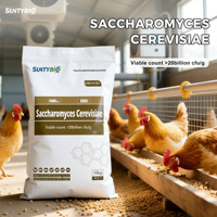 Vente Chaude Levure Sèche Active de Qualité Alimentaire en Poudre 20 milliards UFC/g Saccharomyces Cerevisiae pour l'alimentation des volailles (poulets de chair, poules pondeuses), porcs et bovins
