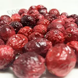 TTN Wholesale Quality Low Price Cranberries In Bulk Freeze Dried Fruit Dried Cranberries