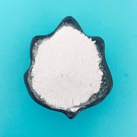Usine professionnelle d'oxyde d'aluminium Al2o3 Cas 1344 de haute qualité de haute pureté 99.9% poudre d'oxyde d'aluminium activée
