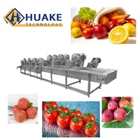 Industriële continue bubbelwasmachine, volautomatische reinigingsapparatuur voor bladgroenten, fruit en bessen