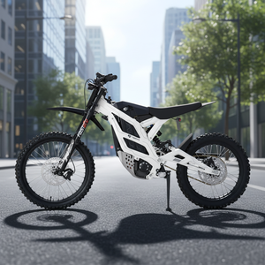 Motocyclettes tout-terrain électriques 16,8 kW 79Bike Falcon GT, moto électrique, moto tout-terrain - Product Image 1